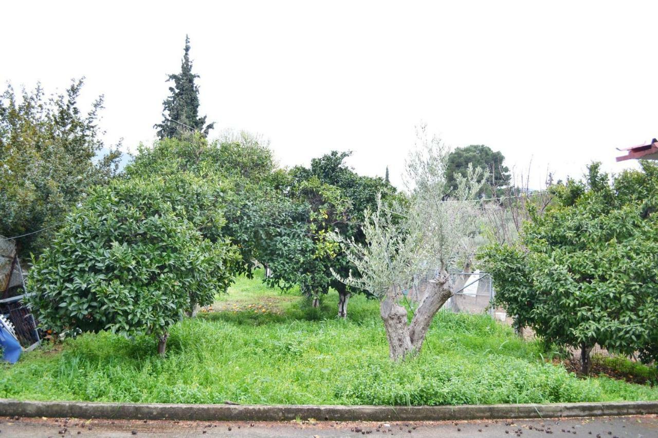 Villa Bella Loukisia Loukissia Екстер'єр фото